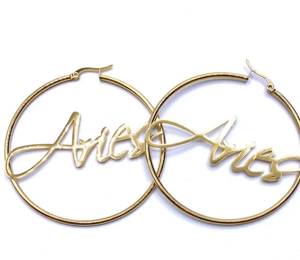 Fly Zodiac Hoops